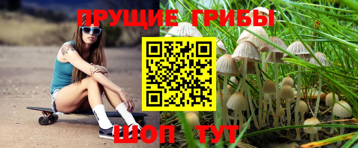 Узловая  Псилоцибиновые грибы Magic Shrooms  Псилоцибиновые грибы Cubensis  Вход с VPN 