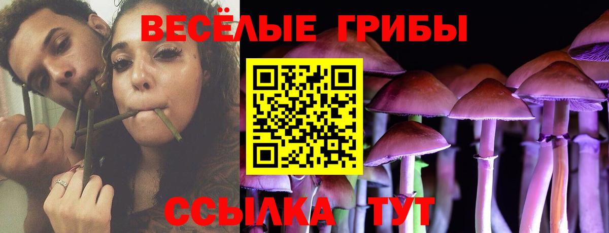 Псилоцибиновые грибы ЛСД Узловая
